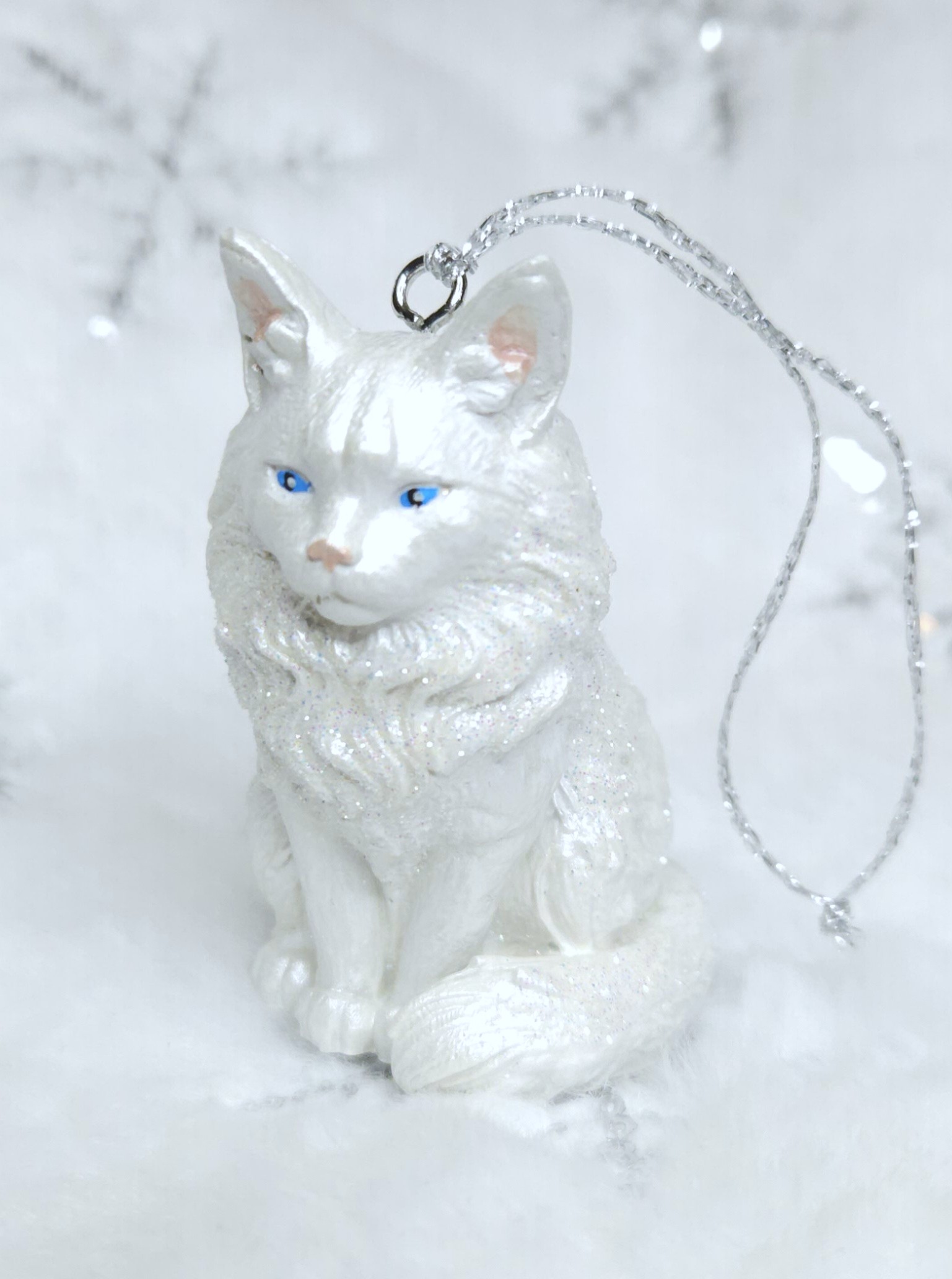 White kitten