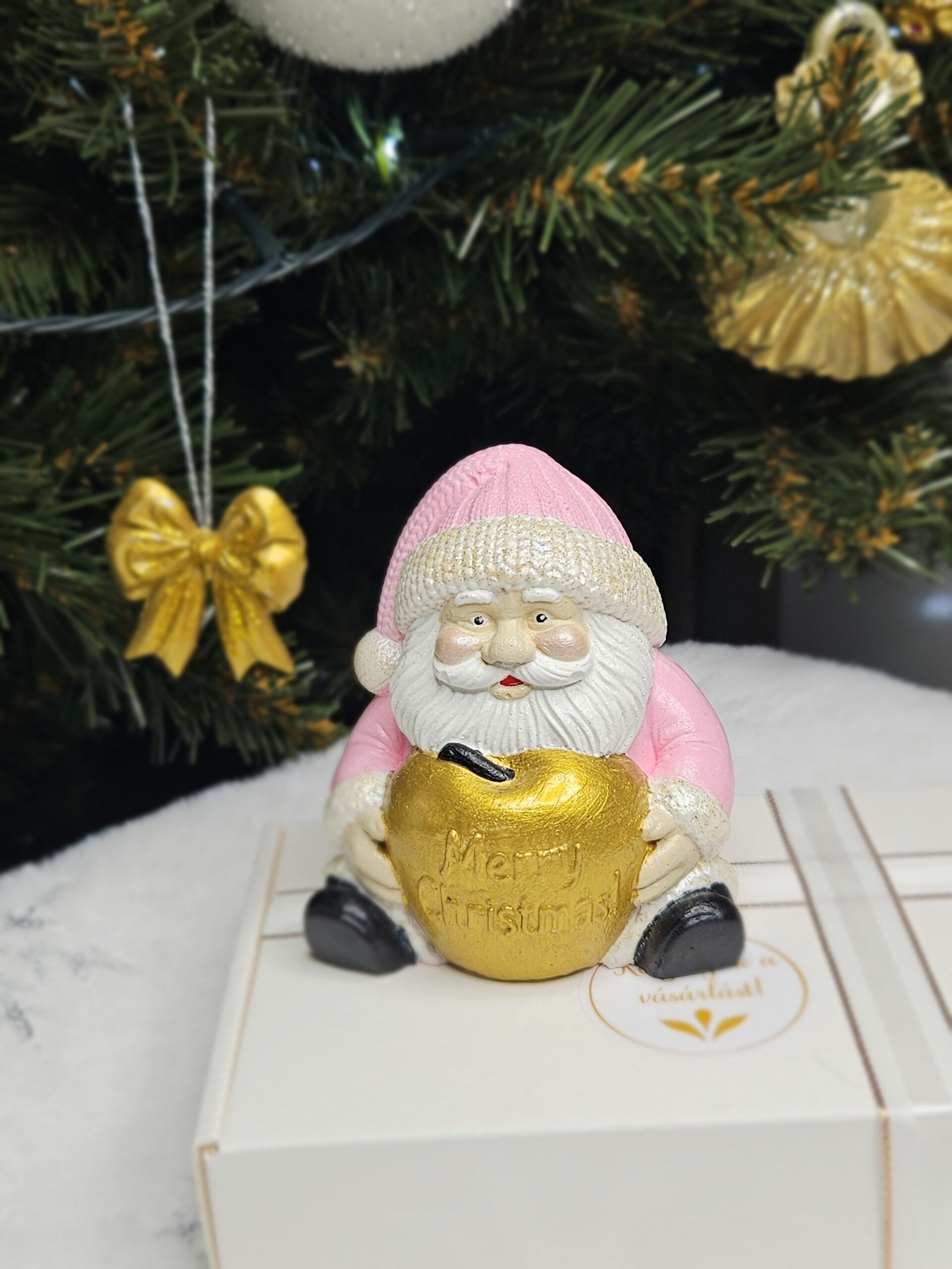 Santa with Merry Christmas sign - centerpiece