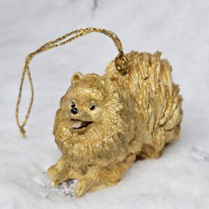 Pomeranian Spitz